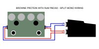 Protein Split Mono Wiring.jpg