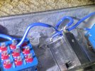 IMG_3187.jpeg